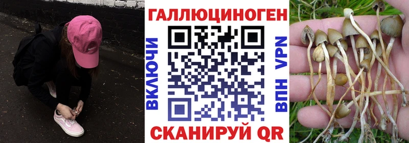 Галлюциногенные грибы мицелий  где найти   Рыбинск 